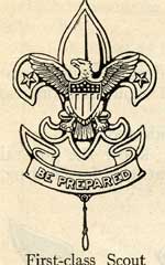 American Eagle Bot Scout Badge