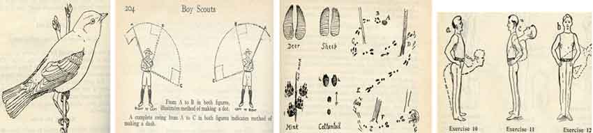 illustrations