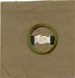collecting boy scout merit badges