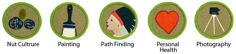1942 Boy Scout Merit Badges