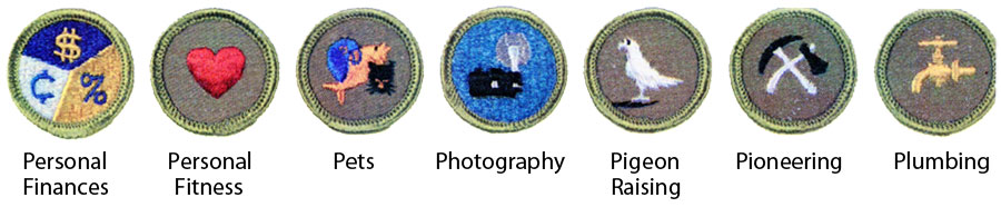 Identifying 1964 Boy Scout Merit Badges