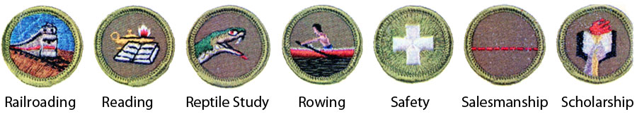 Identifying 1964 Boy Scout Merit Badges