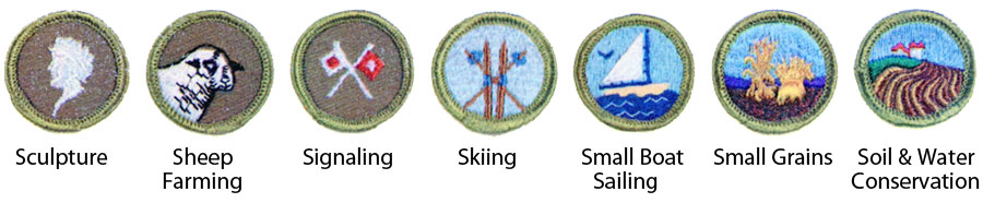 Identifying 1964 Boy Scout Merit Badges