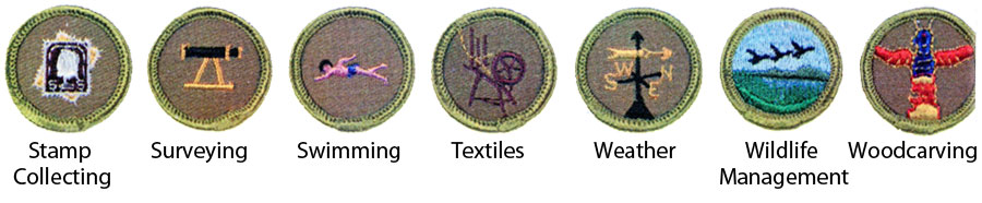 Identifying 1964 Boy Scout Merit Badges