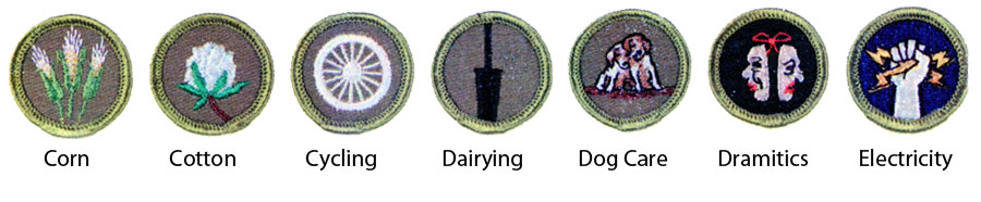 Identifying 1964 Boy Scout Merit Badges