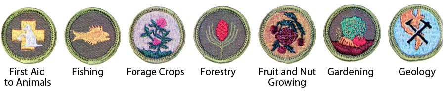 Identifying 1964 Boy Scout Merit Badges